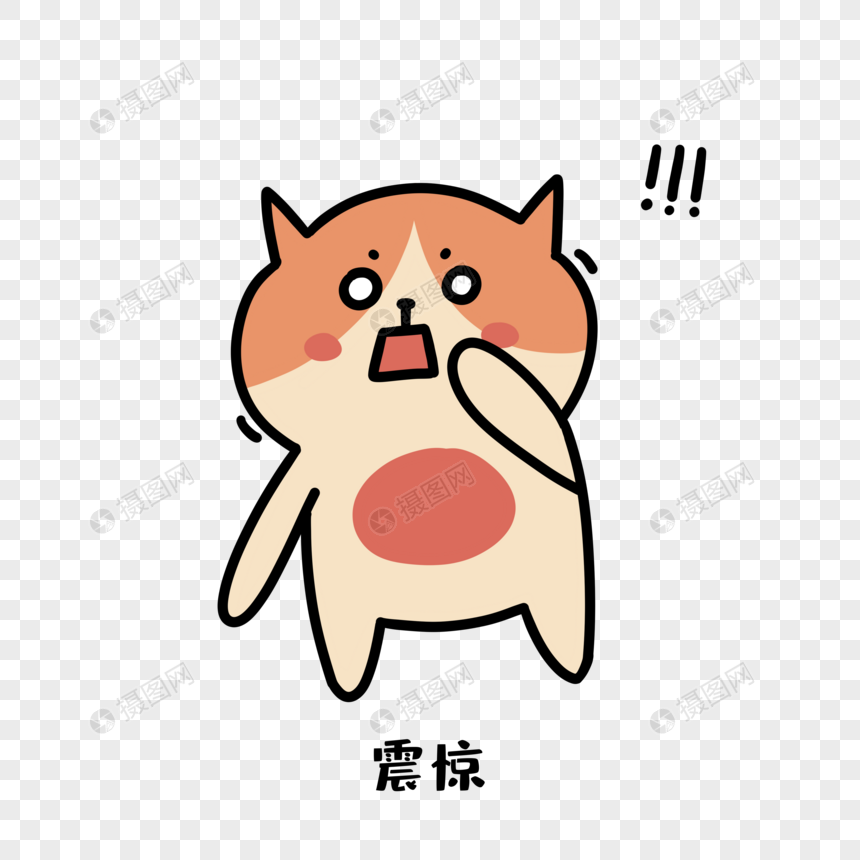 猫震惊表情包