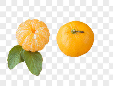 橘子水果高清图片素材