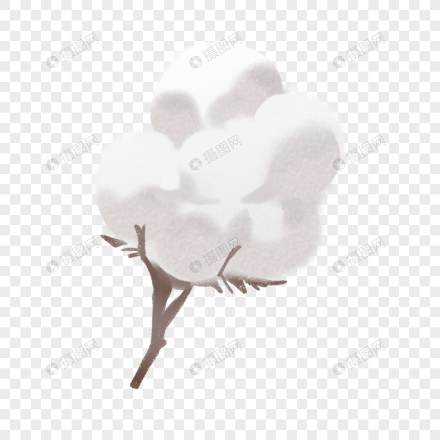 手绘/卡通元素 棉花.