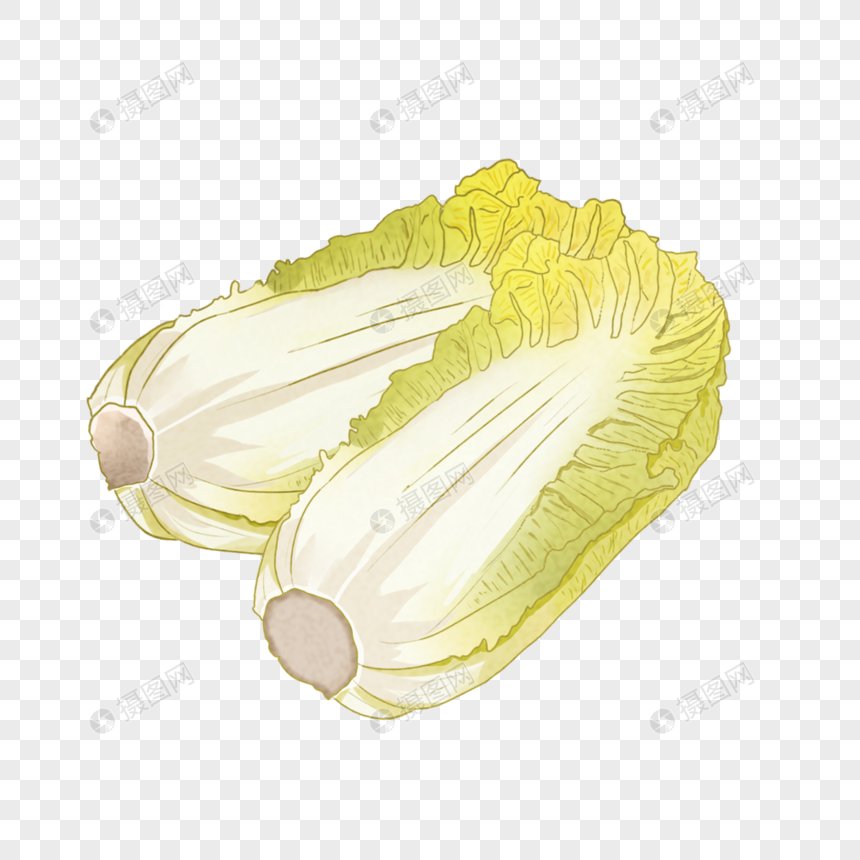 娃娃菜