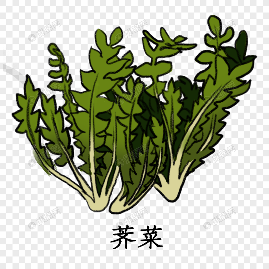 药材荠菜卡通手绘水彩