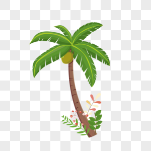 手绘夏季椰子树热带植物图片