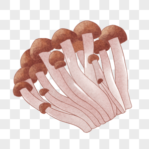 蟹味菇手绘蟹味菇高清图片