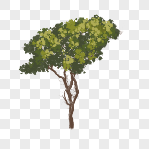绿色的树绿树免扣元素高清图片