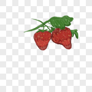 两颗新鲜的草莓插图图片