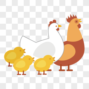 鸡 素材母鸡带小鸡高清图片