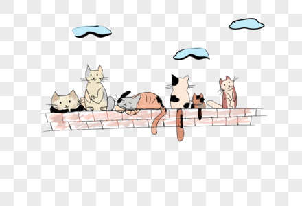 在砖上休息的猫咪图片