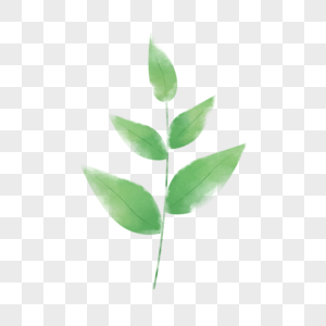 手绘绿色植物图片