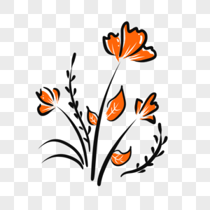 橙色线条花朵插画高清图片