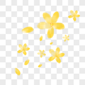 花朵与花瓣黄色花瓣高清图片