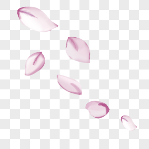 浅粉色花瓣图片