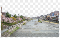 日本东京樱花季图片