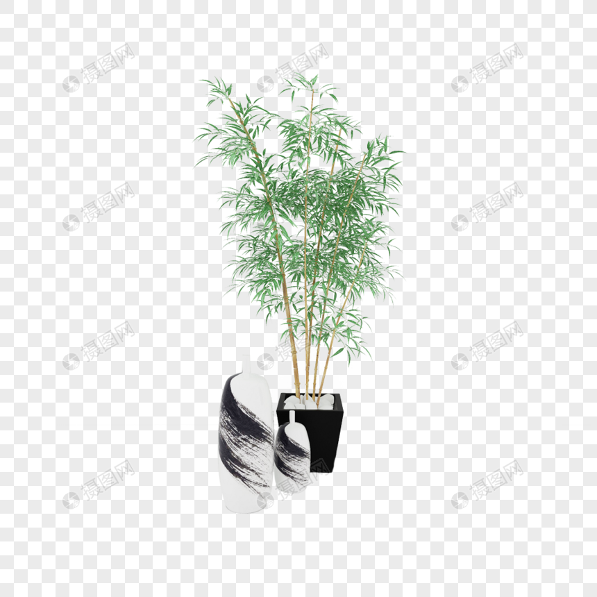 植物图片