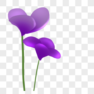 紫罗兰花元素图片