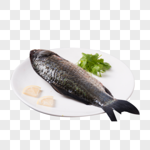 新鲜美味的鱼图片