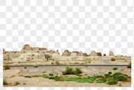 新疆克拉玛依魔鬼城沙漠植物图片