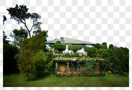 斯里兰卡茶园花园图片