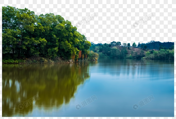 森林风景图片