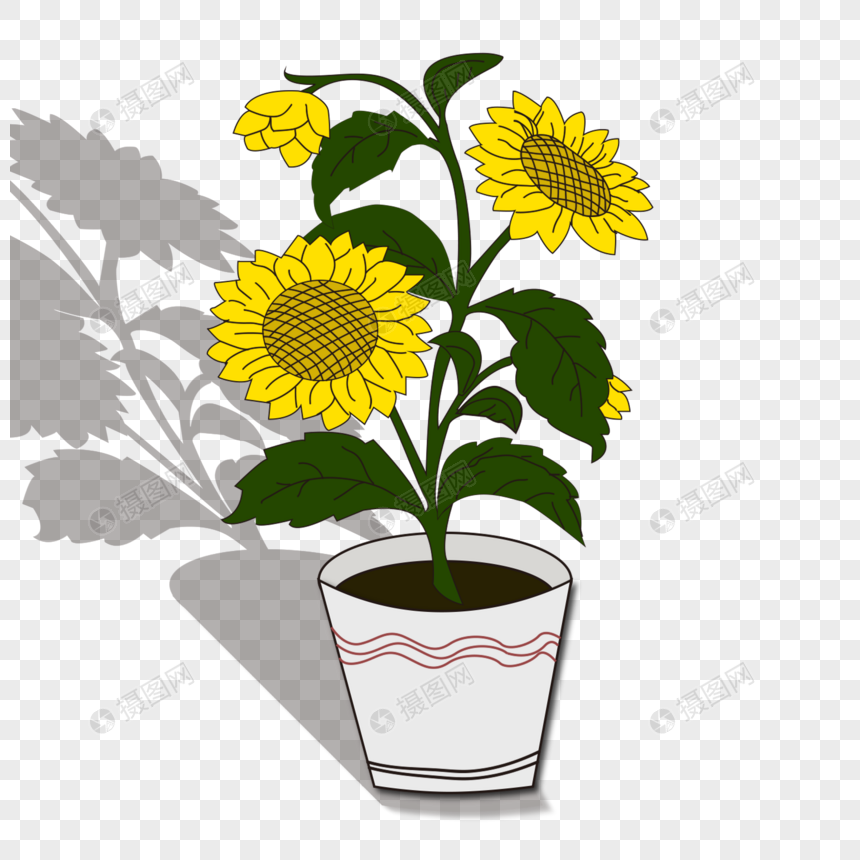 手绘花朵盆栽向日葵