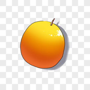 美味的水果黄橙子高清图片