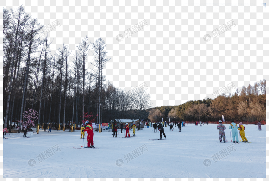 公园里滑雪的人图片