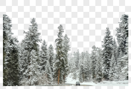 白雪皑皑的大路高清图片