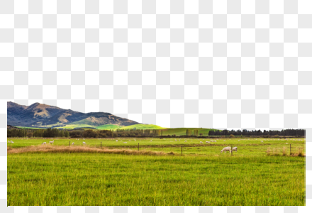 新西兰牧场风光高清图片