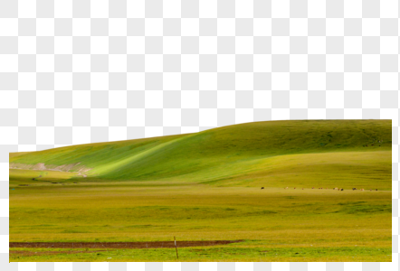 新疆天山草原牧业风光图片