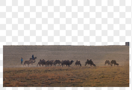 新疆天山牧业草场图片