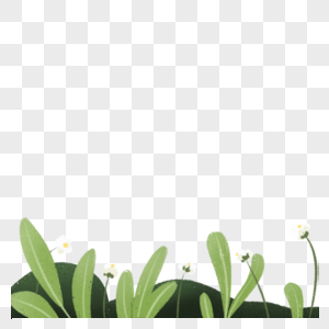 花卉植物盆栽插画高清图片