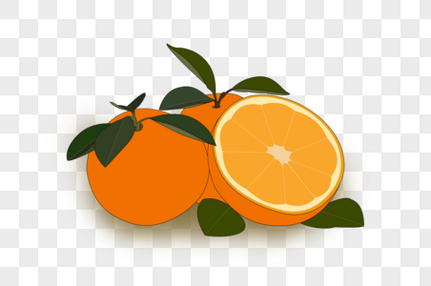 橘子新鲜高清图片素材