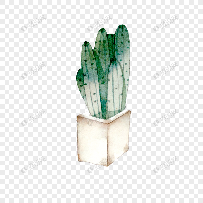 手绘/卡通元素 ins风装饰绿植仙人掌.