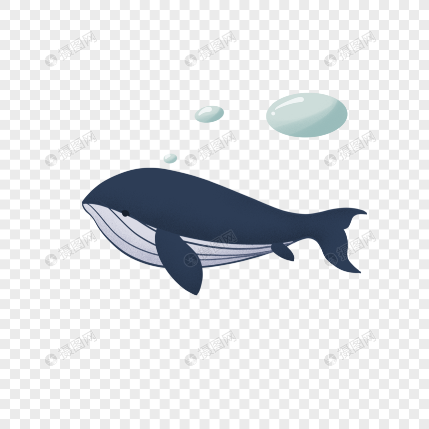 手绘卡通小清新可爱海洋日海底生物蓝鲸鲸鱼蓝色创意元素免扣图片