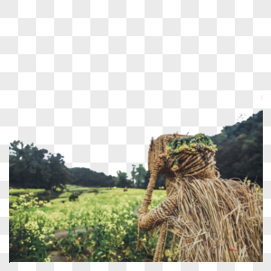 婺源油菜花中间的稻草人图片