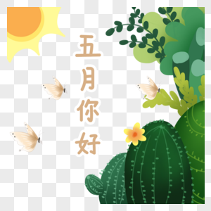 五月你好植物插画图片