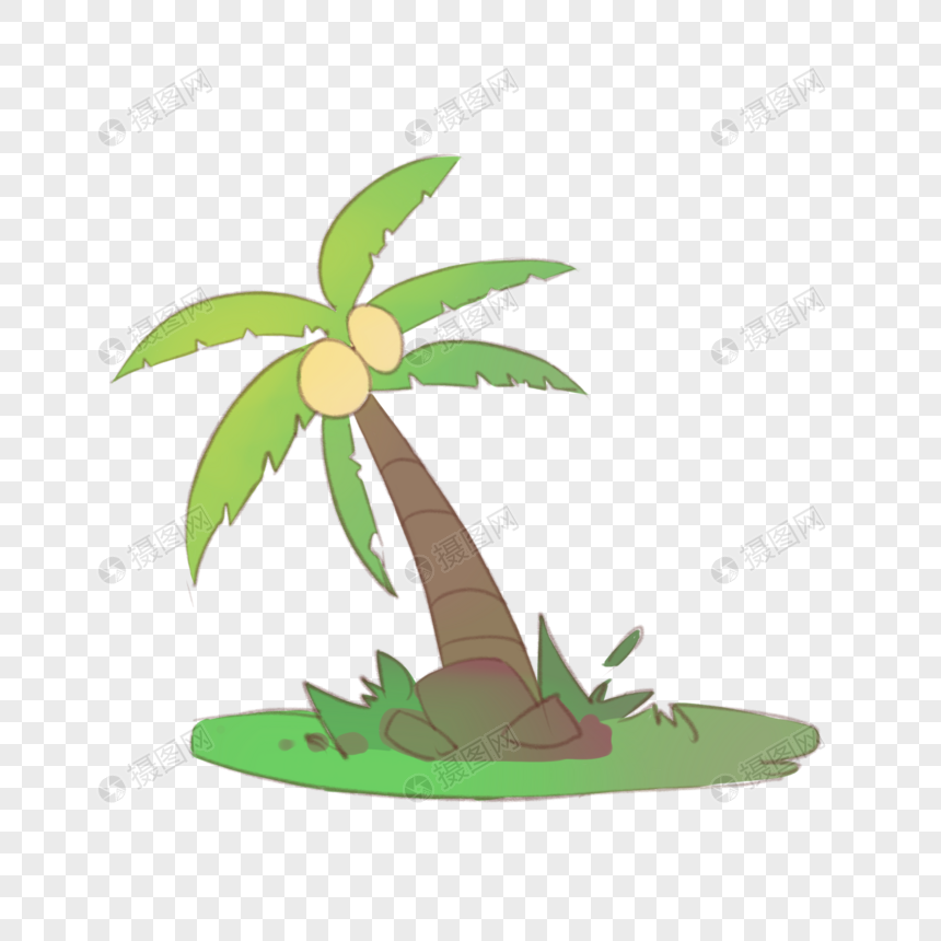 夏日热带椰子树图片