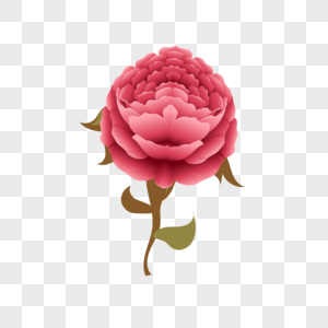 一支玫瑰花装饰素材图案图片