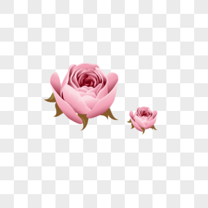 玫瑰花装饰素材图案图片