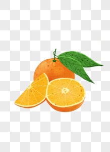 手绘水果橙子图片