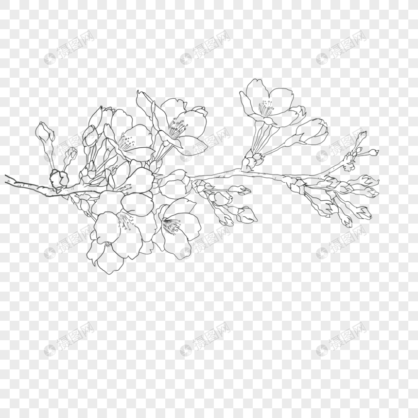 花卉线描图片