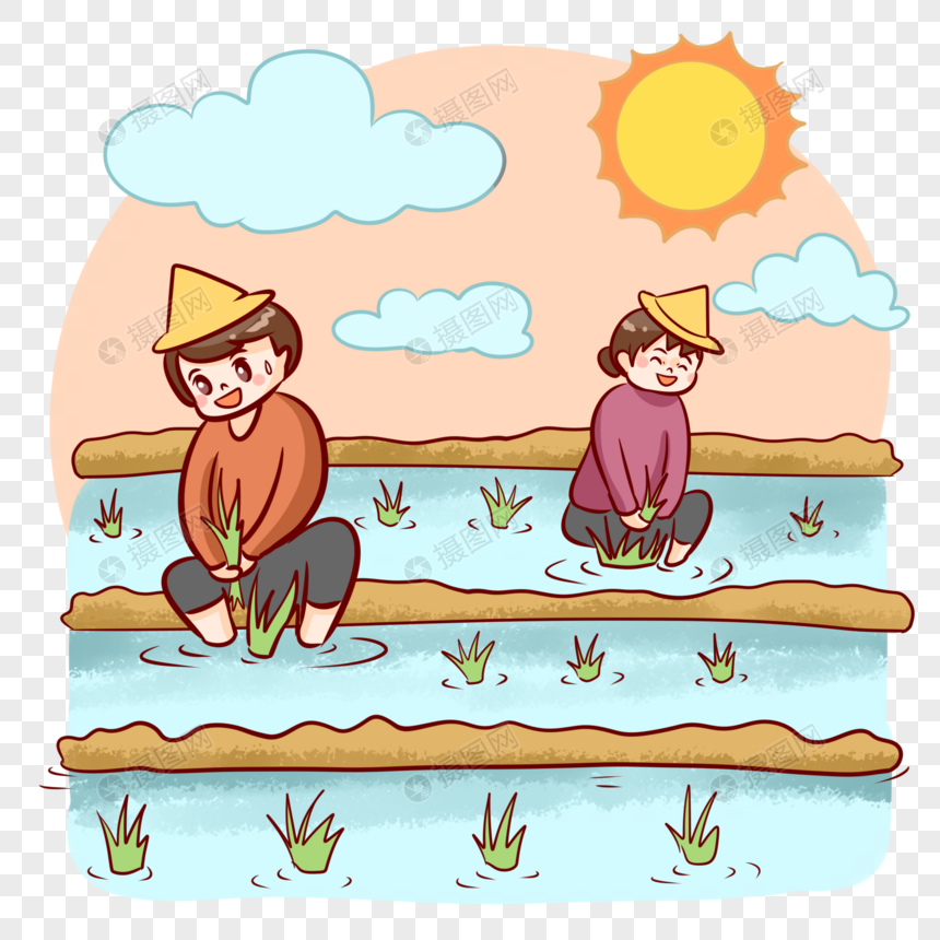 种水稻的农民