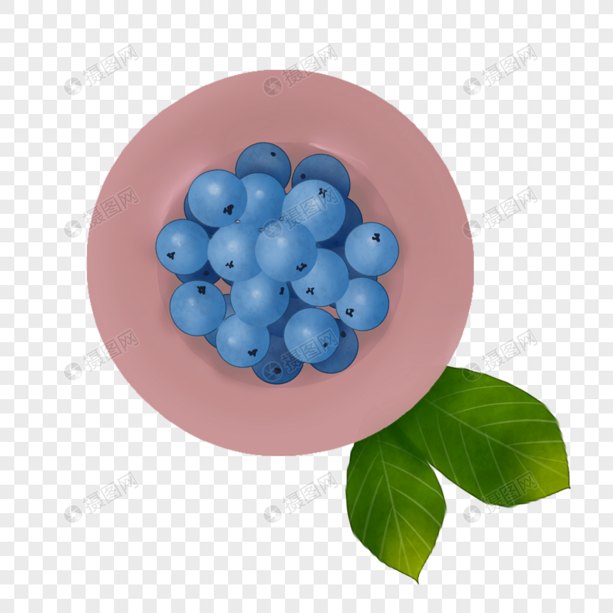 一盘蓝莓卡通插图