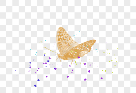 黄色飞舞的蝴蝶图片