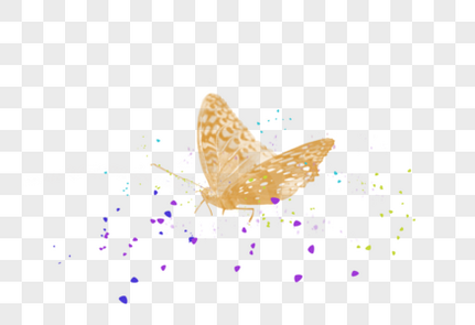 黄色飞舞的蝴蝶昆虫高清图片素材