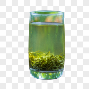 一杯绿茶图片