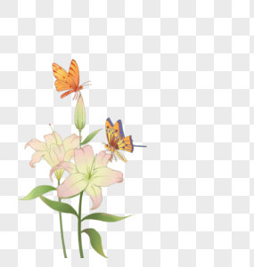 母亲节温馨百合花与蝴蝶母子图片