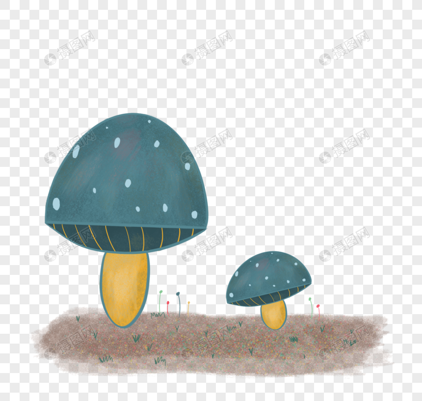 蓝色的蘑菇图片