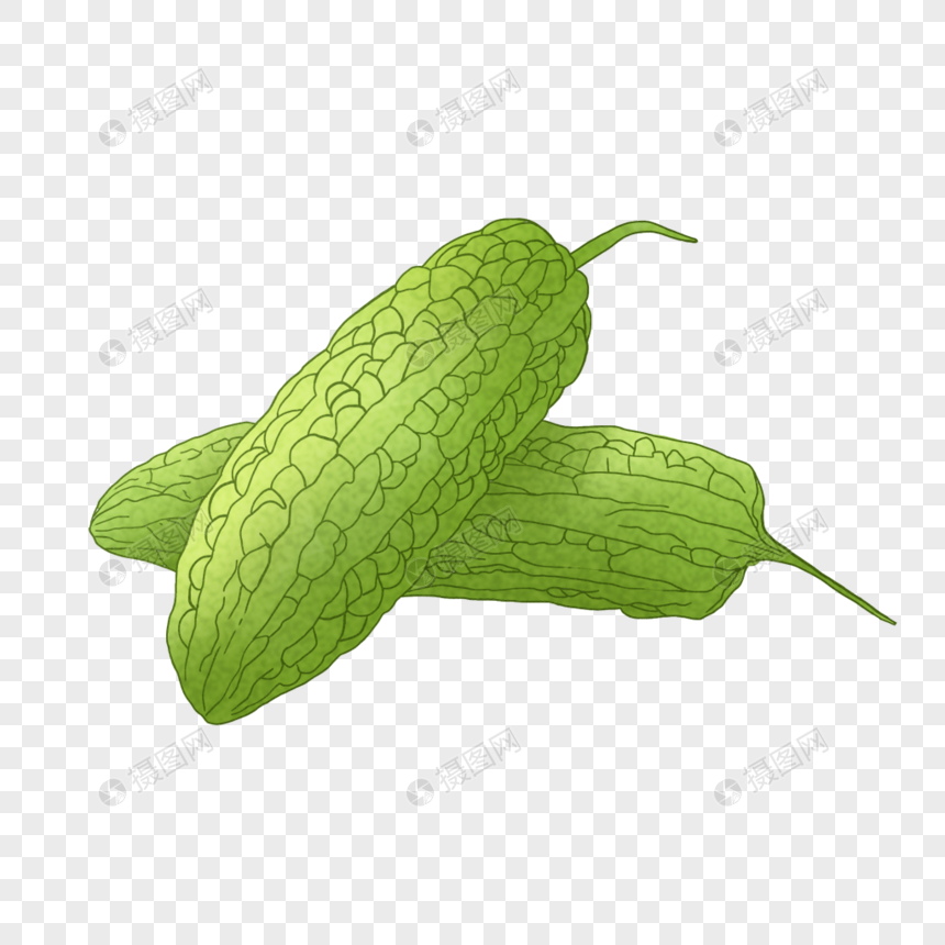免抠元素 手绘/卡通元素 苦瓜.png 860_860
