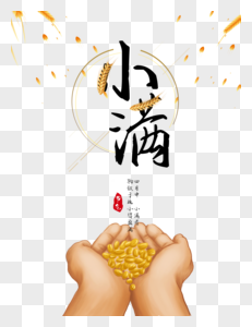 小满季节手捧金黄色麦穗高清图片