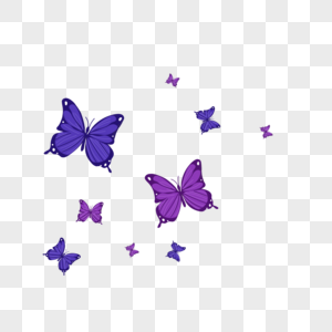 蝴蝶紫色蝴蝶高清图片